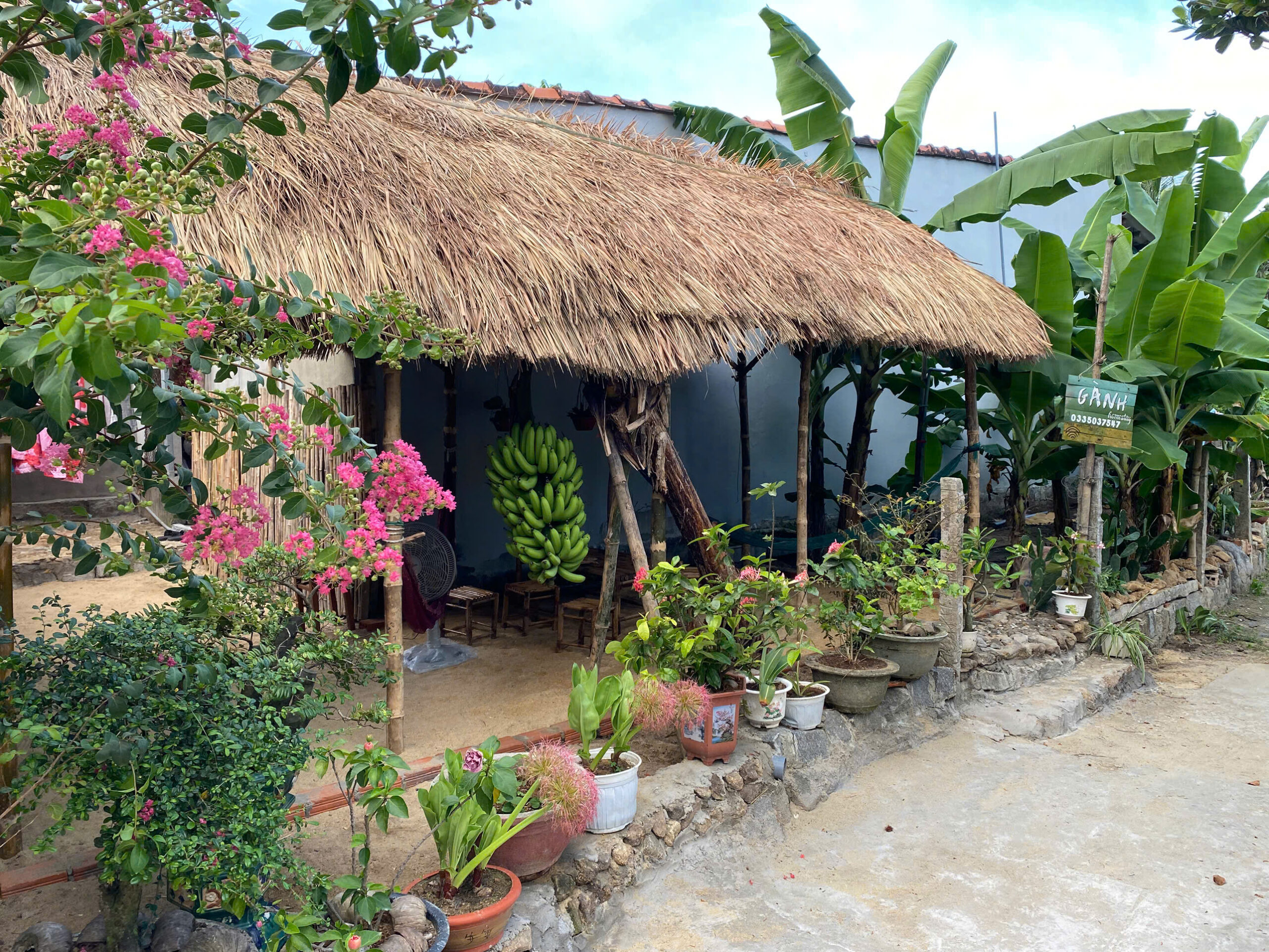 z6746734442630_80192a9f624d9e7e5c6def31c904bcca - Sao chép